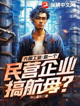 大国工业:你一个民营企业搞航母? 第946章