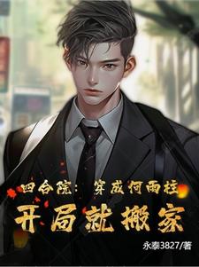 四合院穿成何雨柱开局就搬家 永泰3827