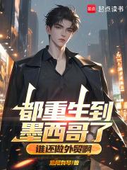 女县长的男秘书全文免费阅读