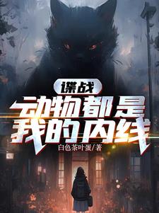 换夫新娘小说全文阅读