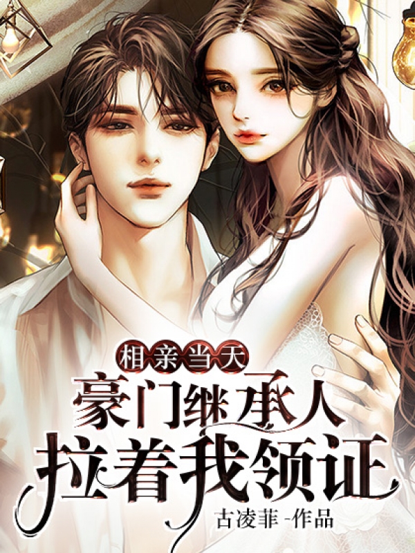 小说《上门女婿》全文阅读