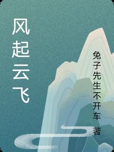 风起云飞不自由的意思