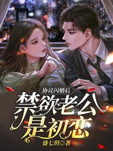 协议闪婚免费章节