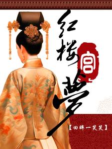 红楼梦中梦红楼 小说