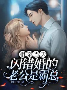 相亲相错对象闪婚的小说