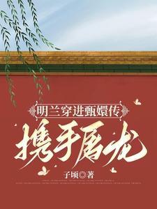 明兰第一次进宫