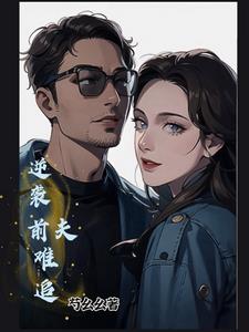 前任逆袭了小说