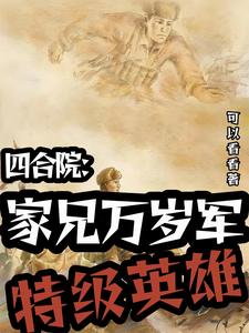 四合院 大领导
