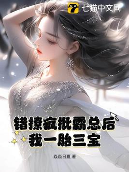 小说:错撩