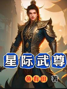 星际武道系统