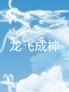 主人公是龙飞的小说