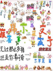 报告师尊