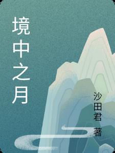 境中境是什么意思