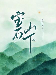 陈皮红枣