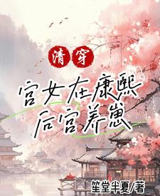 清穿:在康熙后宫做妾室免费阅读