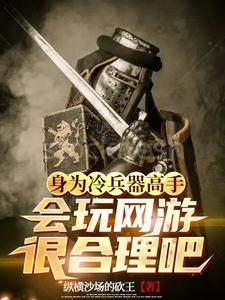 主角用冷兵器的小说