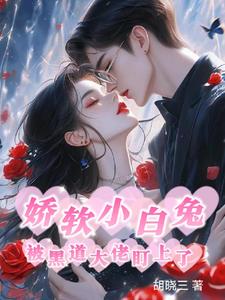 一母四女共一婿全文免费阅读 丫鬟试驸马尺寸