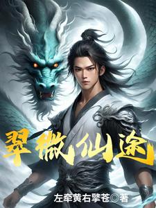 翠微翠微居小说总点击排行榜