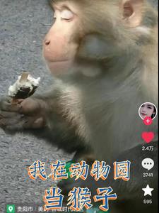 男秘书胸大喂奶H双性 双飞娘俩全章双飞梅姨