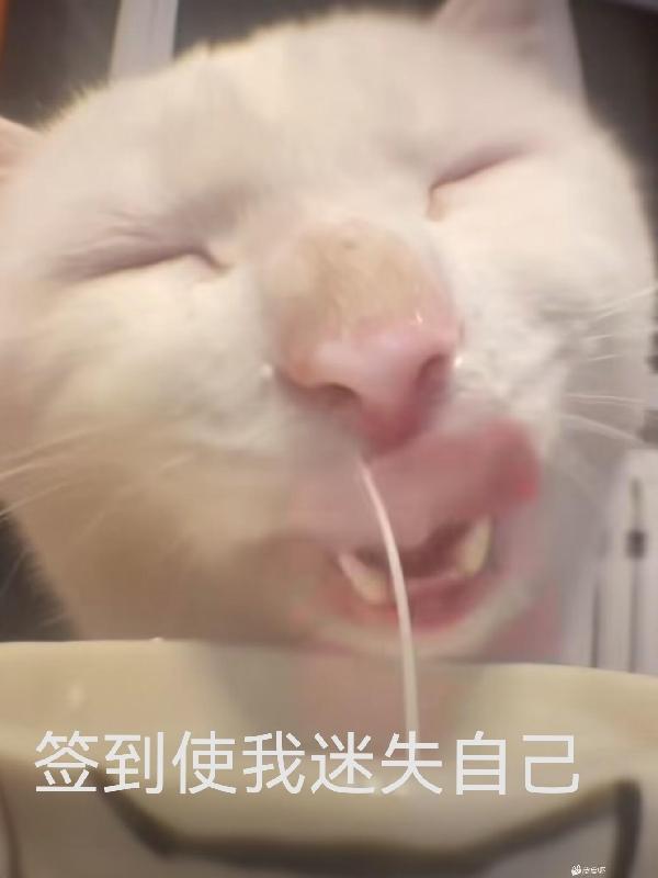 做完0之后屁股里流了一点血 男秘书胸大喂奶H双性