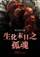 生化末日之孤魂TXT下载