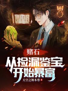 赌石捡漏鉴宝完本小说