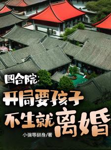 四合院:我娶小当