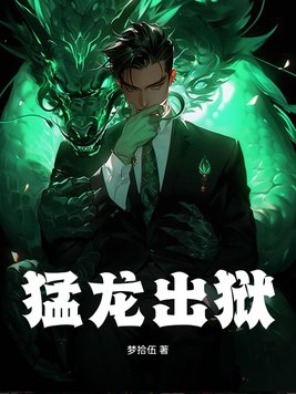 猛龙出狱小说