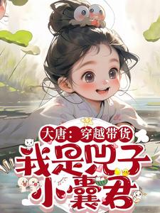 穿越大唐带着系统的小说
