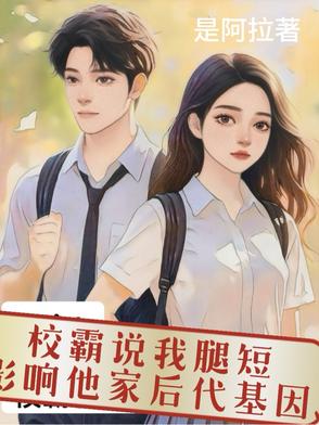 妻子长途客车上的轮杆