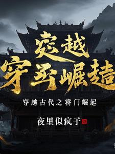 有关穿越将门之子的小说