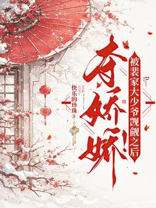 裴少小说