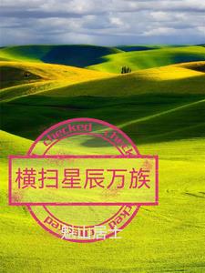 尤物丫鬟的NPC古言小说