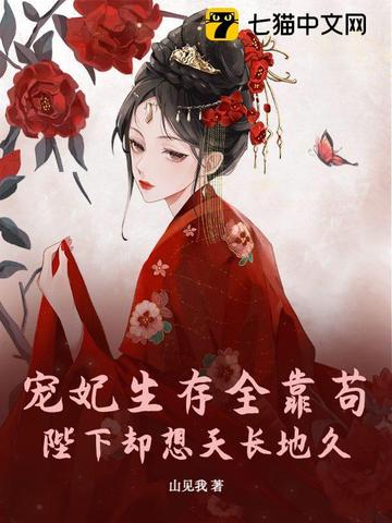 公主和n个皇兄npc是什么