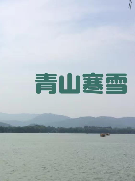 公主和n个皇兄npc是什么