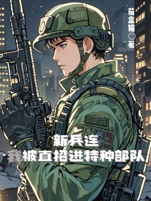 老何和雨婷的章节内容是什么