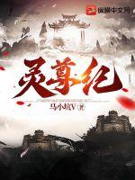 疯狂占有欲很强的纯爱小说宠文