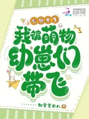 一母四女胡本兴的背景故事