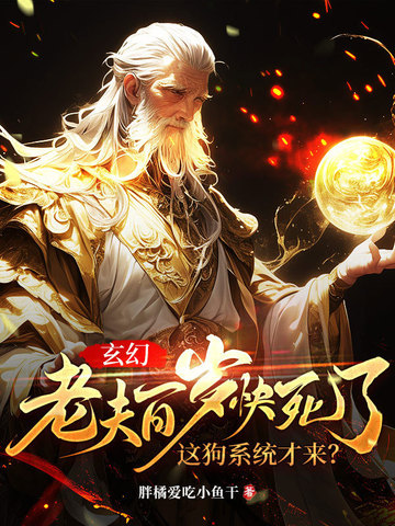 岳婿之战赵雅琴免费阅读全文