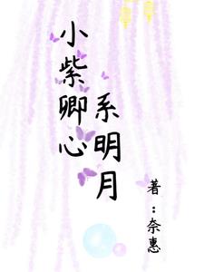 双胞胎兄弟和双胞胎姐妹的小说
