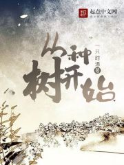 女婿有劲枪枪到底小峰小说